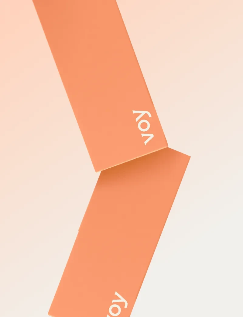 Voy Image